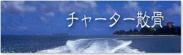 チャーター散骨