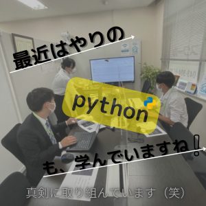 インターンシップの様子